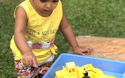 Wonder of Play-Dough