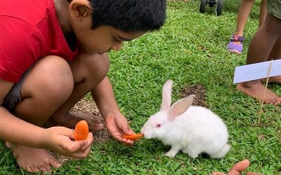 Dream BIG – Explore WITHOUT Limits